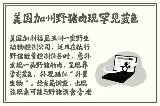 伊甸园2024众乐乐